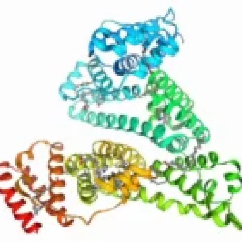 白蛋白營養輸點滴